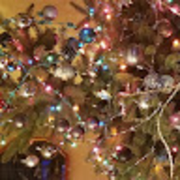 Meet your Posher, Sevil - Picture 1 of 1